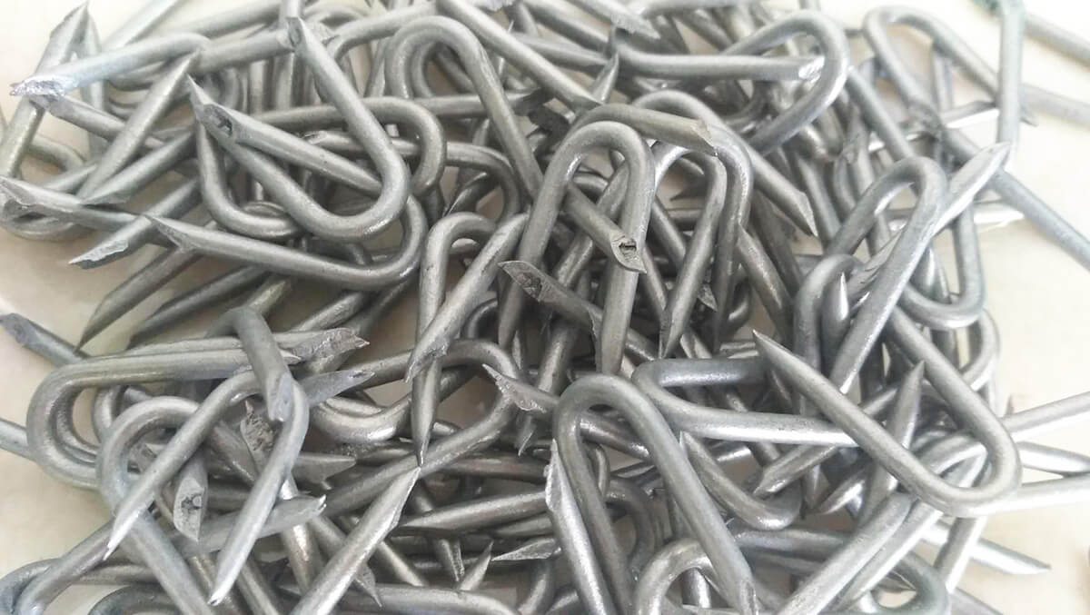 Agrafes galvanis&eacute;es